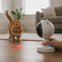 Kluck AI Product Highlight 2